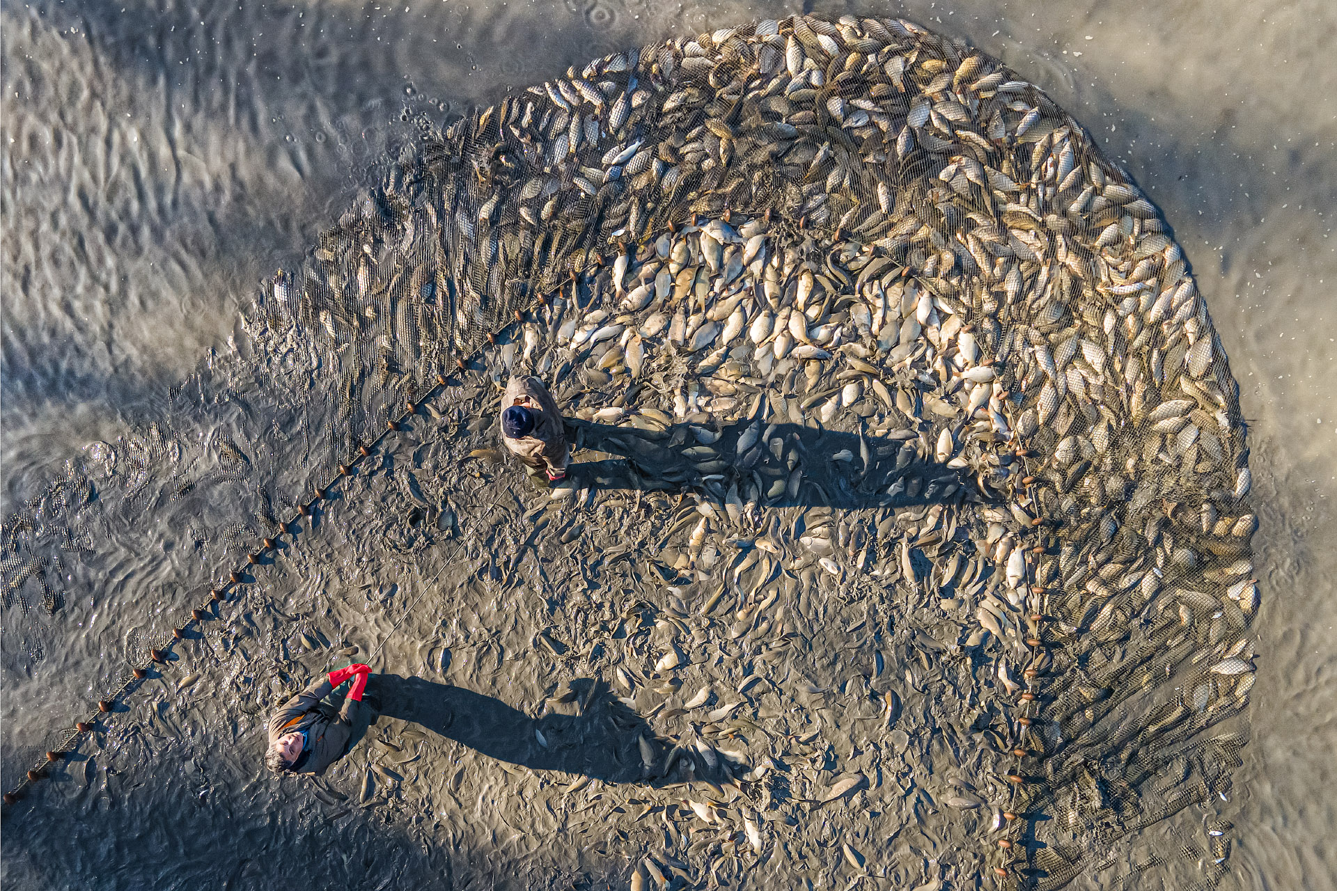 02 _ Andreja Ravnak _ a good year II copy