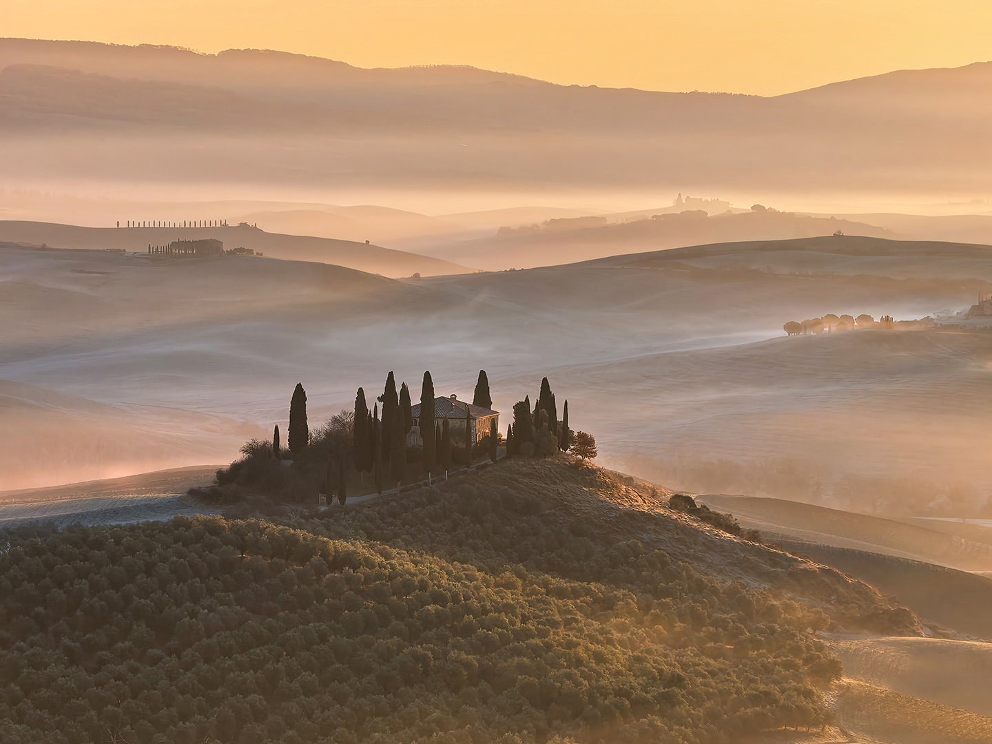 Belvedere