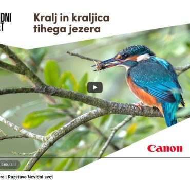 Canonov projekt NEVIDNI SVET