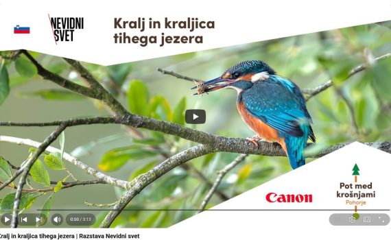 Canonov projekt NEVIDNI SVET