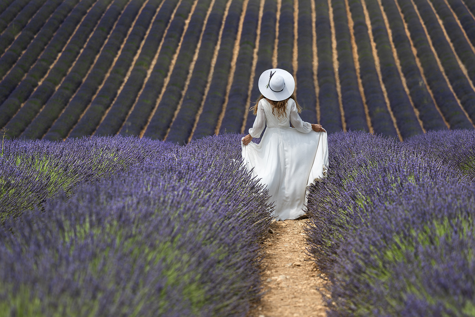 Ursha in lavender IV